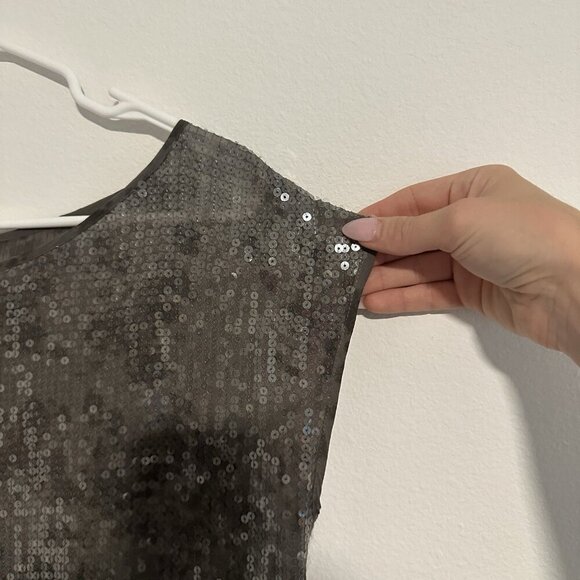 Eileen Fisher Women's Rye Clear Sequins Shimmer Short Sleeve Top XS Gray Silver - Picture 5 of 7